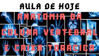 ANATOMIA ÓSSEA DA COLUNA VERTEBRAL E CAIXA TORÁCICA [upl. by Phelips237]