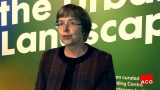 Rethinking The Urban Landscape  Interview with Sue Ireland Parks Alliance [upl. by Pietrek]