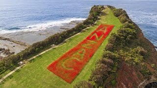 Poppy Project ANZAC Day Terrigal 2016 [upl. by Clere]