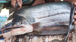 Giant Wallago Attu Catfish Cutting Skills Live in Fish Market  Boal Fish Cutting Skills [upl. by Annaerb770]