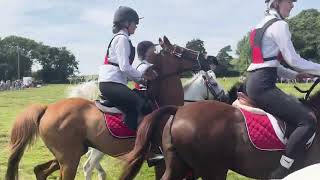 Gower Show 2024 Gymkhana [upl. by Sheridan556]