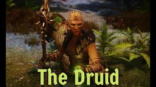 The Druid  Skyrim Anniversary  Modded Gameplay [upl. by Nalo960]