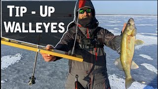 Catching TONS of First Ice Walleyes On TIPUPS [upl. by Oilasor]