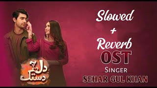 Dil Pe Dastak OST HUM TV Pakistani Drama Lofi Slowed And Reverb Video Song [upl. by Martelli]