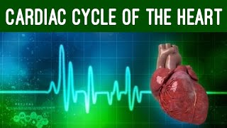 Cardiac Cycle and Conduction System of Heart Physiology Animation [upl. by Kesia]