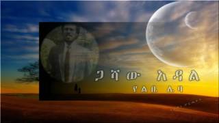 Gashaw Adalየልቤ ሌባYelibe Leba [upl. by Wyne]