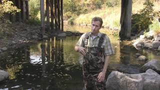 Ask an Expert Macroinvertebrates Water Quality Concerns [upl. by Attenyt666]