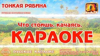 Караоке  quotТонкая рябина quot Русская Народная песня Новая [upl. by Leach]