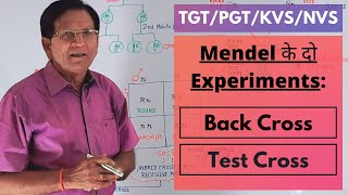 Mendels Two Experiments Back Cross amp Test Cross  TGTPGTKVSNVS [upl. by Repard]