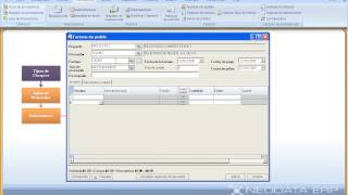 TUTORIAL NEODATA ERP 2009 15 Factura Sin Pedido [upl. by Alekat159]