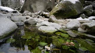 Mindfulness Exercise 4 Leaves on a Stream at Sundance Film Festival 2023 [upl. by Atneuqal495]