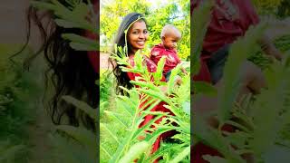 Neeve leka nene lenanta❤babyboy cute cutebaby mother motherhood love shortvideo [upl. by Weisman899]