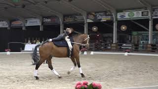 Iris van Noort freestyle [upl. by Decima]