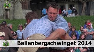 Ballenbergschwinget 2014 [upl. by Radley]