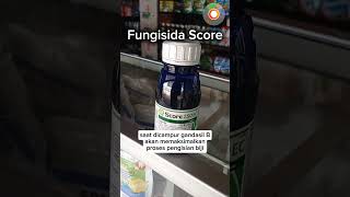 Fungisida score fungisidafungisidascore [upl. by Stoll]