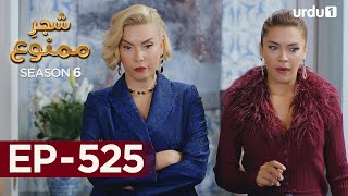 ShajareMamnu  Episode 525  Turkish Drama  Forbidden Fruit  Urdu Dubbing  6th February 2023 [upl. by Adaner495]