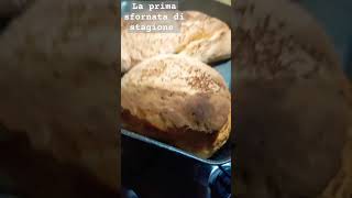 pane pizza panecasalingo [upl. by Anitnas]