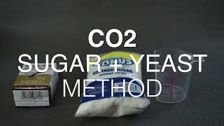 DIY CO2 Generator Using Sugar and Yeast [upl. by Elaine]