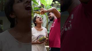 Crazy Husband amp Wife 😂shorts viralvideo trending couplegoals SVThalasserycouple [upl. by Ynagoham397]