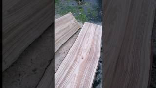 Planche de châtaigner à la tronçonneuse bois tronçonneuse woodworking [upl. by Adgam136]