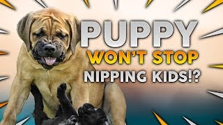 Stop Your Puppy BITING amp NIPPING Your Children [upl. by Crudden480]