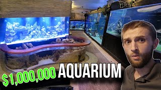 How to Afford Million Dollar Home Aquarium amp Rescue [upl. by Atsirk440]