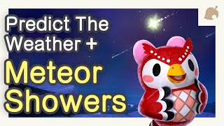 How To Predict 𝗠𝗘𝗧𝗘𝗢𝗥 𝗦𝗛𝗢𝗪𝗘𝗥𝗦 🌟 And The Weather 🌞  Animal Crossing New Horizons 🌴 [upl. by Liatnahs]