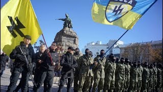 Max Blumenthal US is Arming NeoNazis in Ukraine [upl. by Standing]