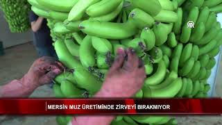 Mersin muz üretiminde zirveyi bırakmıyor [upl. by Datnow]