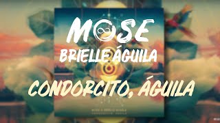 Mose Brielle Águila  Condorcito Águila [upl. by Yenitsed]