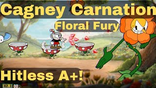 Deceptively Frustrating ∣ Cagney Carnation Hitless A ∣ Cuphead Series Full Game A Rating Part 6 [upl. by Youngman]