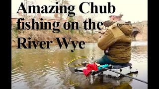 Incredible days fishing for chub on the river Wye [upl. by Karub]