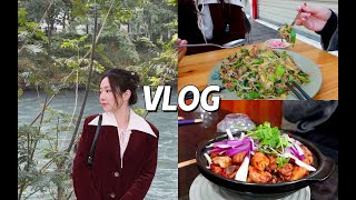 成都郫县吃喝玩乐vlog！ 我的第200个vlog [upl. by Annaej487]