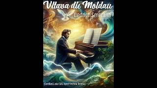 Bedrich Smetana  Vltava  die Moldau SeeBasS aka SBS HardTechno Remix [upl. by Aihcrop867]