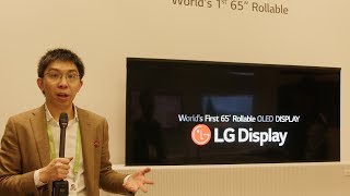 LG Displays 65inch Rollable OLED TV is DOPE [upl. by Elleimac]