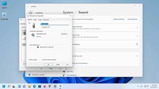 How to Remove Background Noise from Microphone on Windows 11  10  How to Enable Noise Cancellation [upl. by Mic]