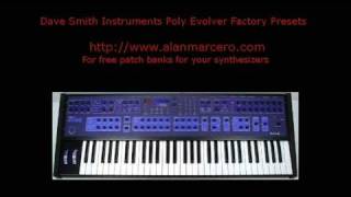 Analog Synthesizer DSI Poly Evolver Presets [upl. by Nytsyrk]