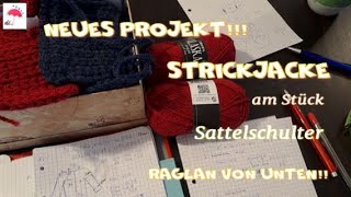 LIVE Projekt Strickjacke am Stück Raglan von Unten [upl. by Roskes]