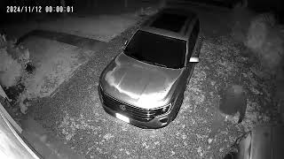 Tisbury Police footage of attempted car break in [upl. by Arabella]