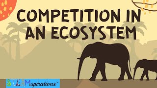 Competition in an Ecosystem Mutualism Intraspecific Interspecific Relationships [upl. by Corby]