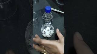 plastic bottle very useful tips kitchenhacks shorts shortvideo youtubeshorts [upl. by Ardolino]