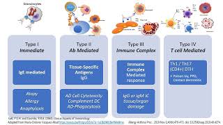 Hypersensitivity Types I to IV in less than 2 minutes [upl. by Kingsley]