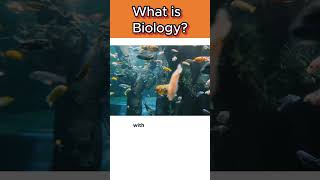 What is Biology🌱🐤 biology shorts ytshorts [upl. by Druce]