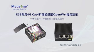 R3S在OpenWrt下的4G模块联网演示 using the 4G module in OpenWRT on R3S speed test demo [upl. by Hplar894]