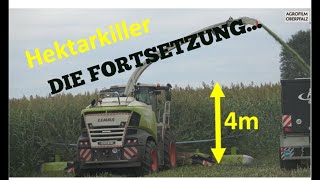 Der Hektarkiller im 4 m hohen Sudangras  DIE FORTSETZUNG  Claas Jaguar 990  LU Schicker [upl. by Morette497]