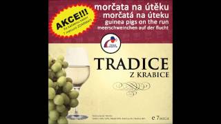 Morčata na útěku  Hanácká Tradice z krabice 2013 [upl. by Rehpinej]