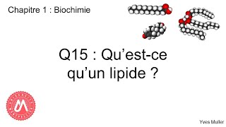 Chapitre 1  Biochimie  Q15  Questce quun lipide [upl. by Orin]