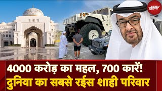 Sheikh Mohamed Bin Zayed Al Nahyan Worlds Richest Family कितना Net Worth  Abu Dhabi Crown Prince [upl. by Koressa584]