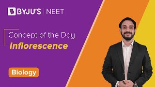 Inflorescence  BIOLOGY  NEET  Concept of the Day  Pushpendu Sir [upl. by Laden604]