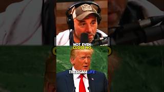 Rogan on Trump Schooling CNN Reporter [upl. by Wildee107]